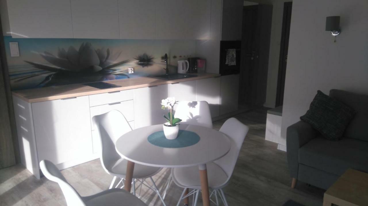 Apartament Nika Pool&Spa 5Morz Сянозеты Экстерьер фото